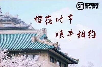 顺丰湖北招聘：樱花时节，顺丰相约