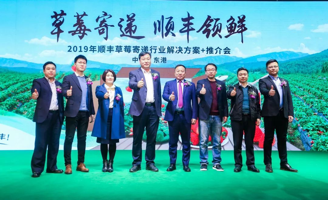顺丰东港草莓“头等舱”启航，全程温控呵护草莓鲜美出行