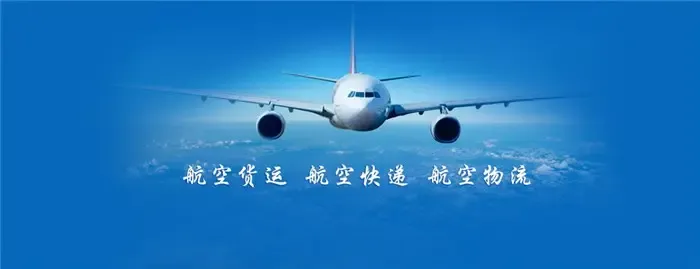 全球航空货运定期报告（2021年5月）