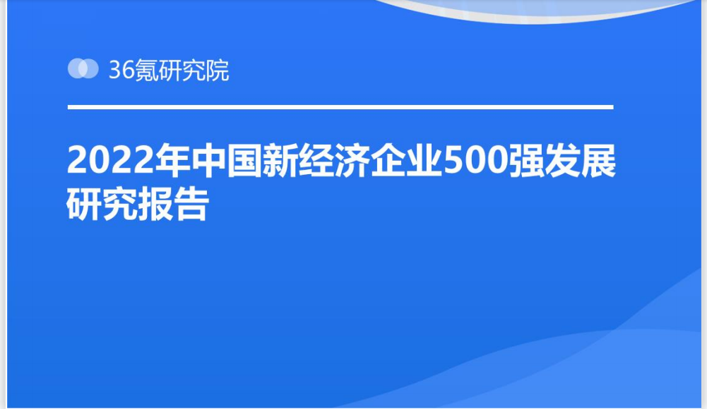 2022年中国新经济企业500强发展研究报告