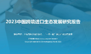 2023中国跨境进口生态发展研究报告