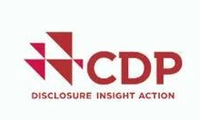 CDP碳披露项目 - 2022最新时间表