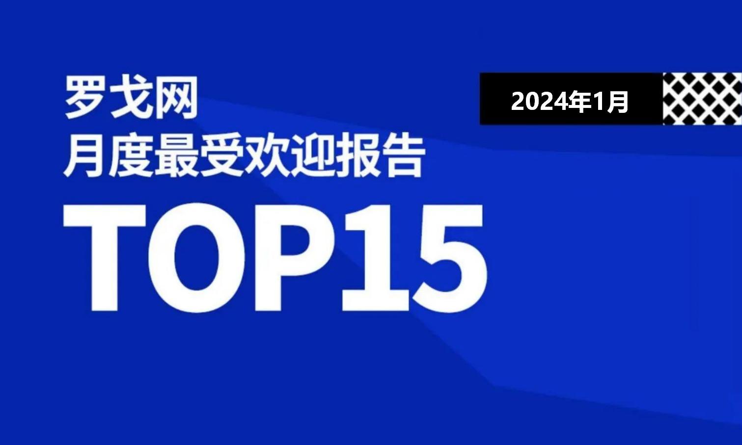 2024年1月罗戈网最受欢迎报告TOP15