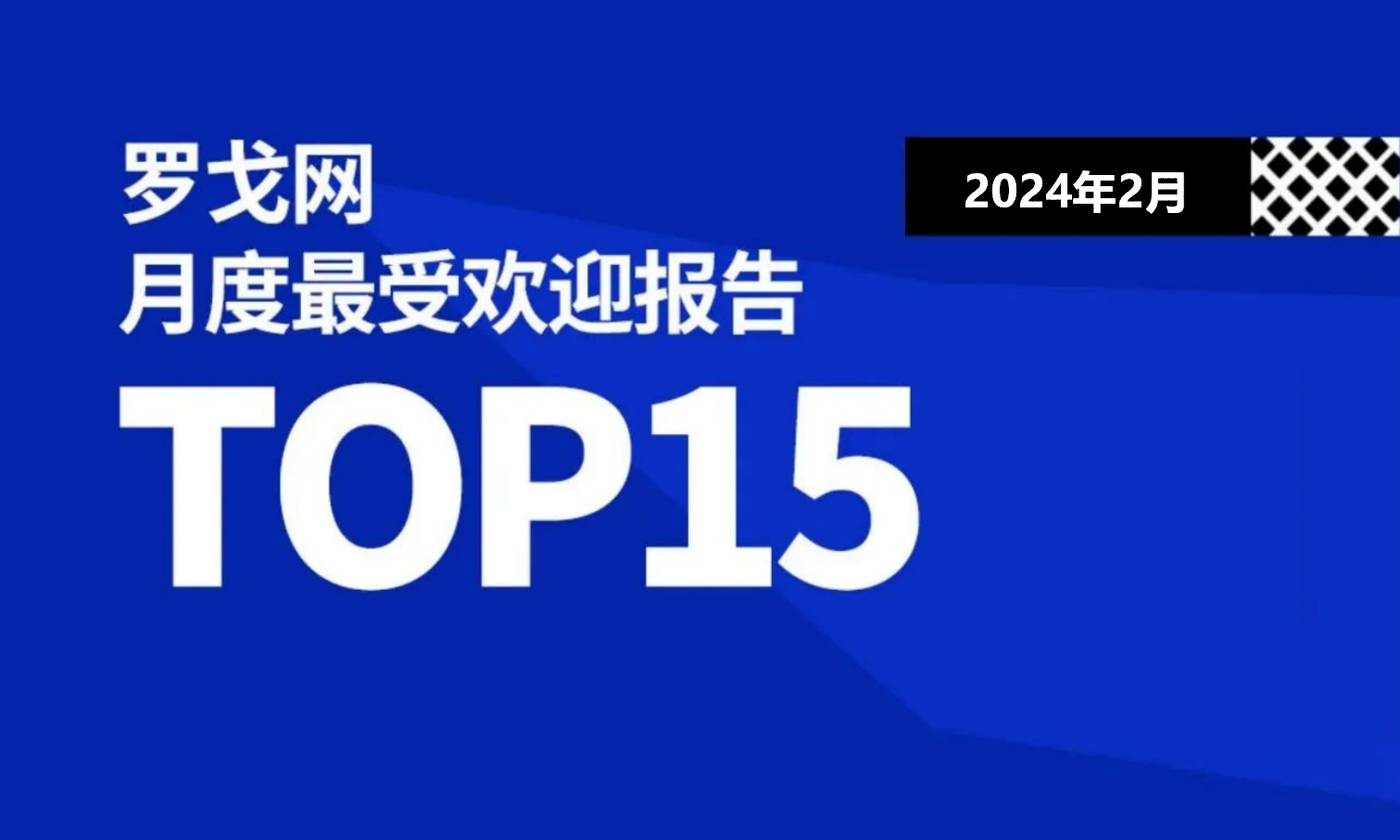 2024年2月罗戈网最受欢迎报告TOP15