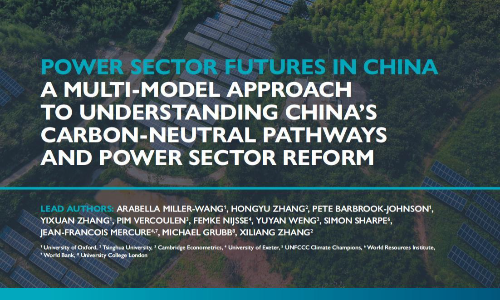 中国电力行业未来： 理解中国碳中和路径和电力行业改革的多模型方法（英）