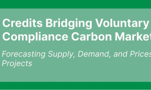 连接自愿和强制碳市场的碳信用研究（报告一览）