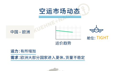 全球空运市场动态（七月下旬至八月上旬）