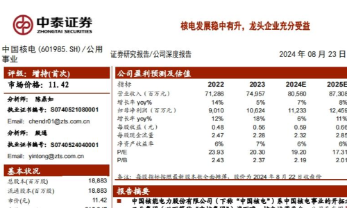 中國核電研究報告：核電發展穩中有升，龍頭企業充分受益