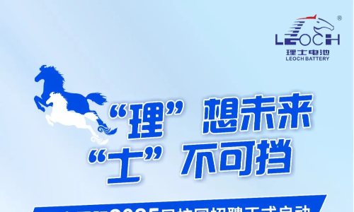 理士国际2025届校园招聘火热进行中