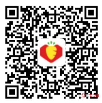 p202411/13/1_ge6kbaMwzh7Z.jpg