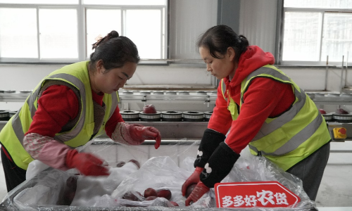 見證歷史！我國全年快遞業務量首破1500億大關，由拼多多消費者下單