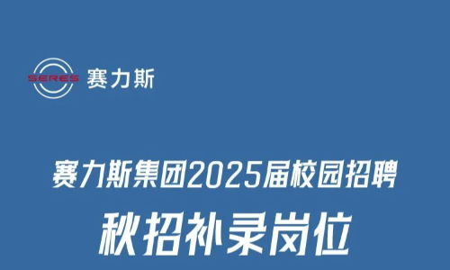 赛力斯集团2025届校园招聘补录物流管理类、供应链类岗位