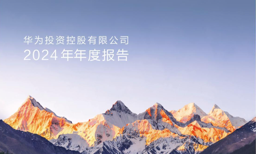 华为：2024年度报告