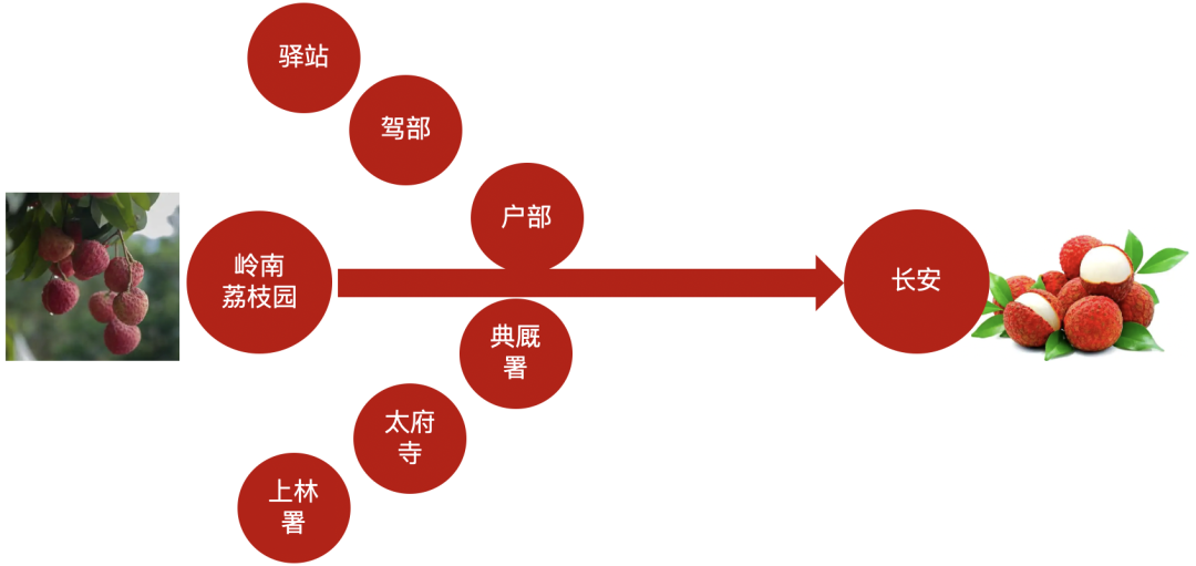 看《长安的荔枝》，解密生鲜供应链