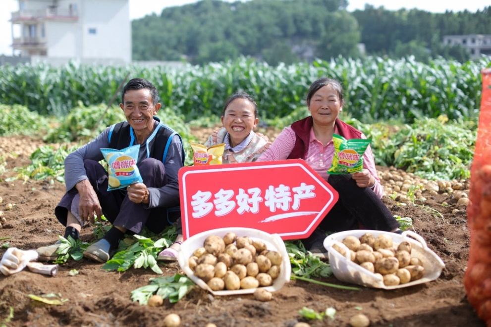 拼多多发布Q2财报，“千亿扶持”生态效用显现，供需两侧实现高质量发展