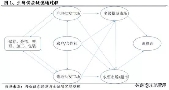 生鲜供应链行业深度研究报告