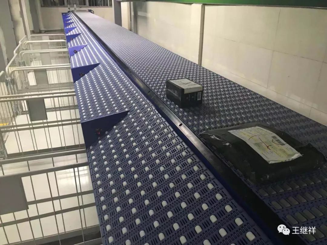 洪健荣：柔性化模组带智能分拣传送系统